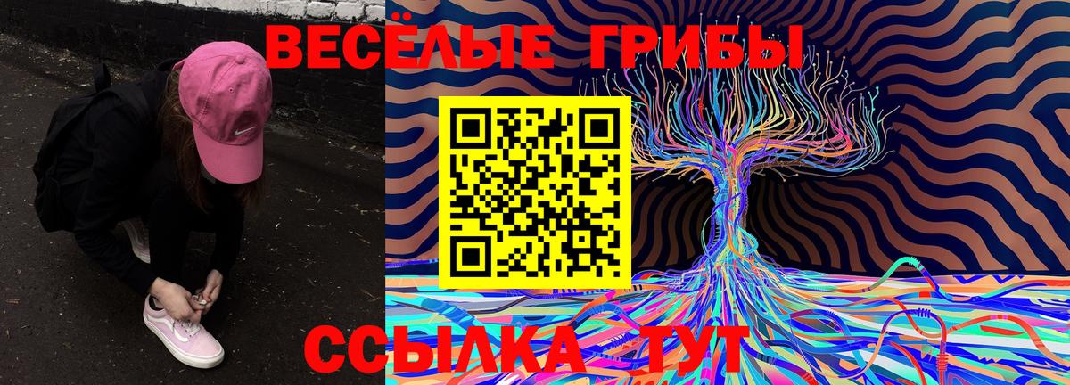 Псилоцибиновые грибы ЛСД Череповец